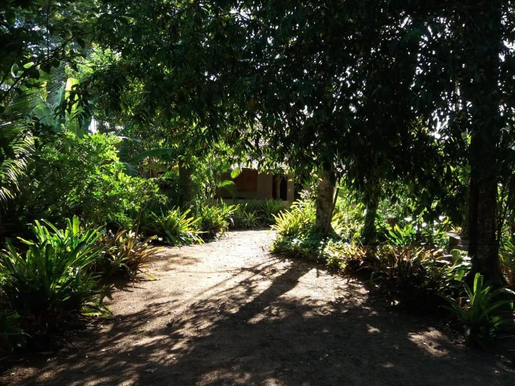 Vila Prosperidade Trancoso Esterno foto